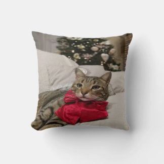 Beautiful Christmas Cat Cushion