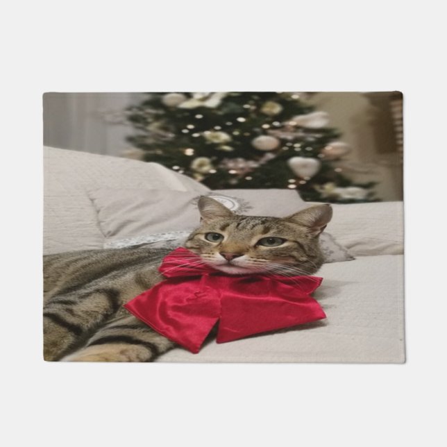 Beautiful Christmas Cat Doormat (Front)