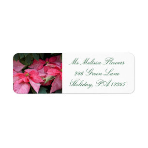 Beautiful Christmas Poinsettia Photo Return Address Label