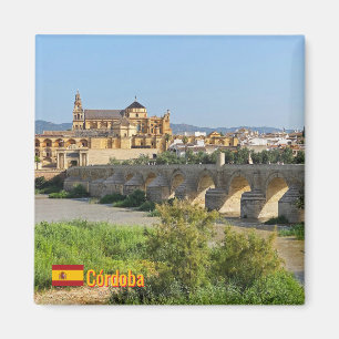 Beautiful city Cordoba in Spain, travel Magnet