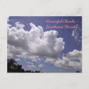 Beautiful clouds SW Florida Postcard