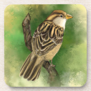 Beautiful Coaster Little Sparrow