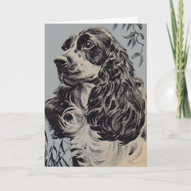 beautiful cocker spaniel card (Front)