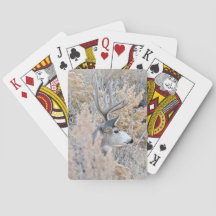 Beautiful Colorado Buck Playing Cards