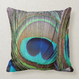 Beautiful colorful peacock feathers cushion