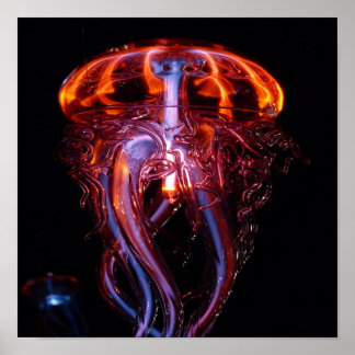 Beautiful coloured jelly fish poster