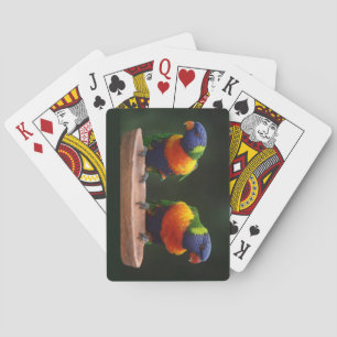 Beautiful & Colourful Blue Green & Orange Parrots Playing Cards