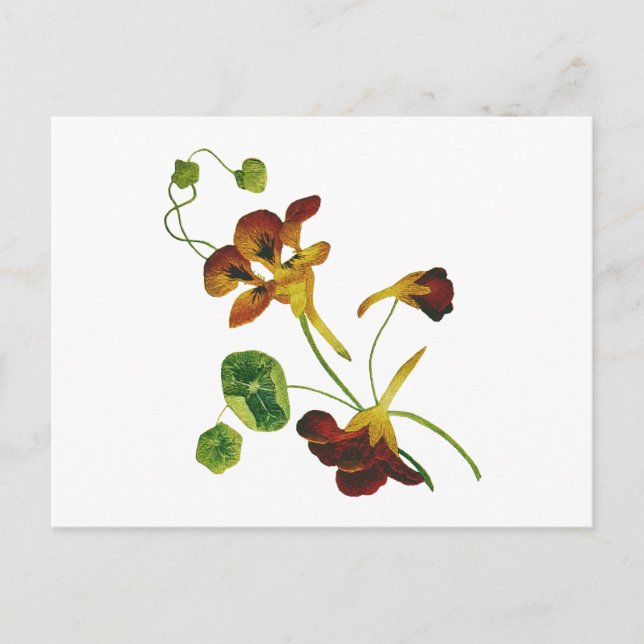 Beautiful Colourful Embroidered Nasturtiums Postcard (Front)