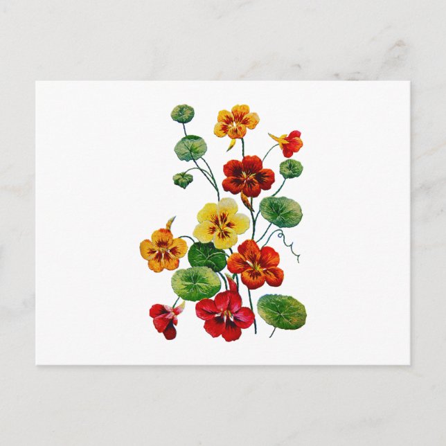 Beautiful Colourful Embroidered Nasturtiums Postcard (Front)