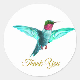 Beautiful colourful hummingbird & golden Thank You Classic Round Sticker
