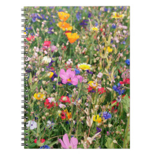 beautiful colourful meadow of wild flowers notebook