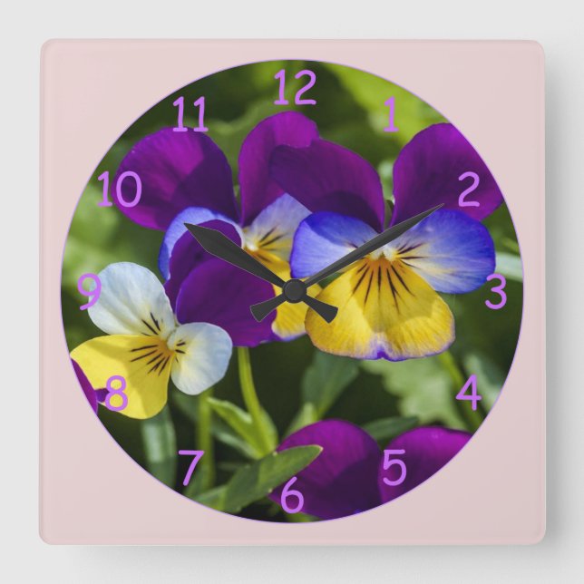 Beautiful Colourful Pansies Square Wall Clock (Front)