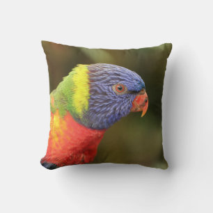 Beautiful Colourful Parrot Cushion