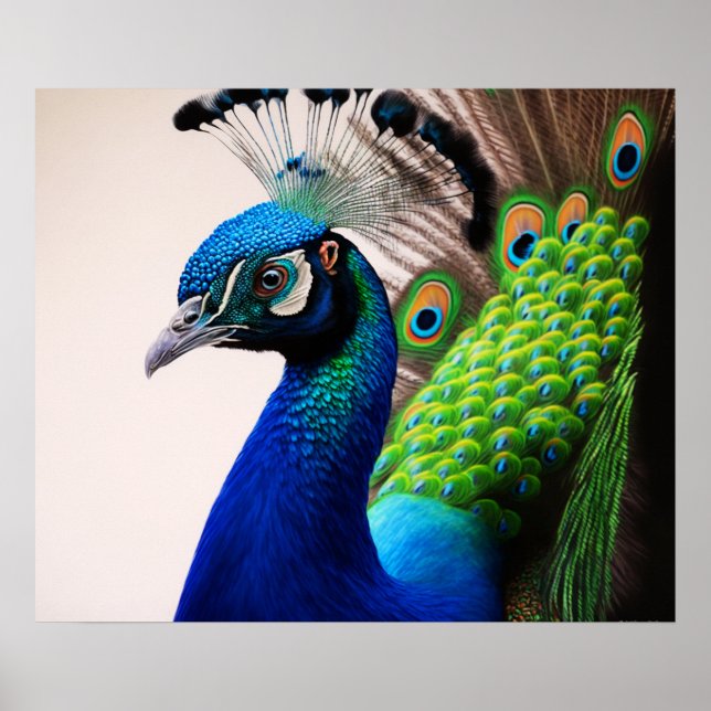 Beautiful Colourful Peacock Peafowl Bird Wildlife  Poster (Front)