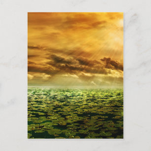 Beautiful colourful pond scenery postcard