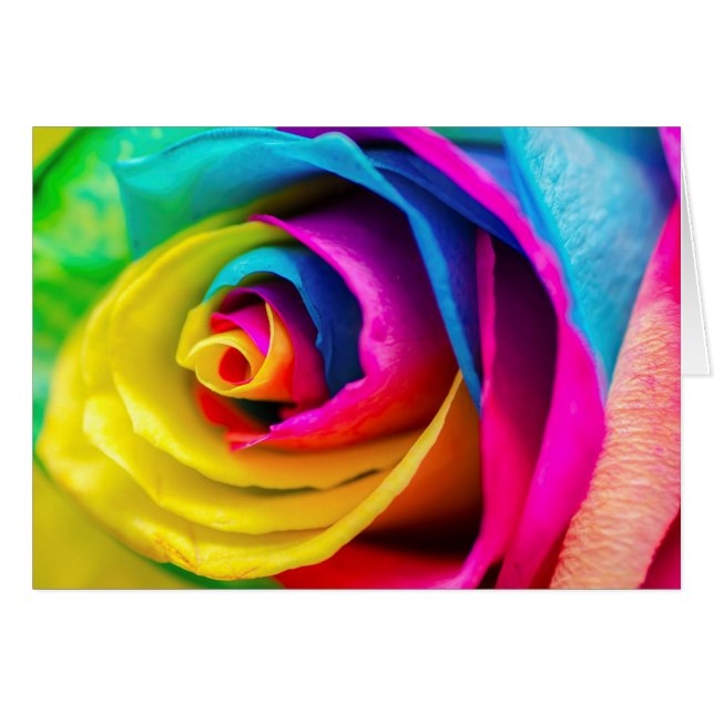 Beautiful Colourful Rainbow Rose Love Poem (Front Horizontal)