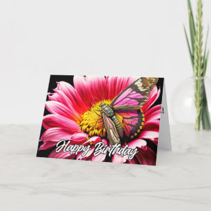 Beautiful Colourful Resting Butterfly Art Card