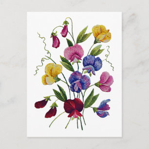 Beautiful, Colourful Sweet Peas Postcard