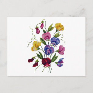 Beautiful, Colourful Sweet Peas Postcard