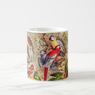 Beautiful Colourful Tropical Birds Parrots  Coffee Mug