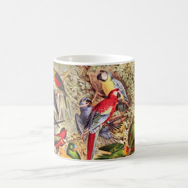 Beautiful Colourful Tropical Birds Parrots  Coffee Mug (Center)