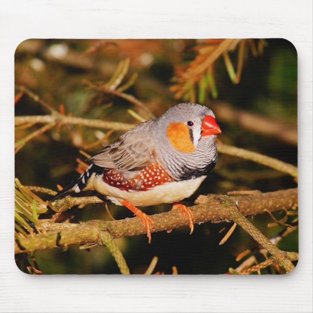Beautiful Colourful Zebra Finch Bird Mouse Pad (Front)