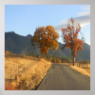 Beautiful colours in Fall... Poster