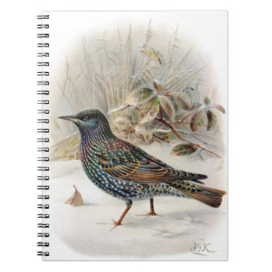 Beautiful Common Starling Note Book