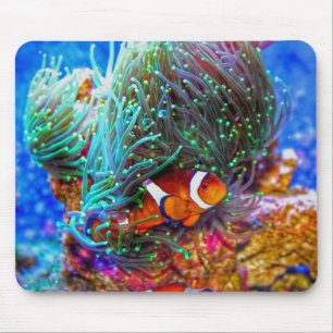 Beautiful Coral Reef with Clown Fish Mouse Pad