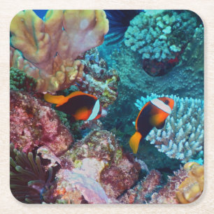 Beautiful Coral Reef with Fish Square Paper Coaster