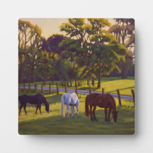 Beautiful Country Horses Grazing Poster Plaque