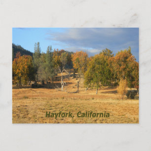 Beautiful country... postcard