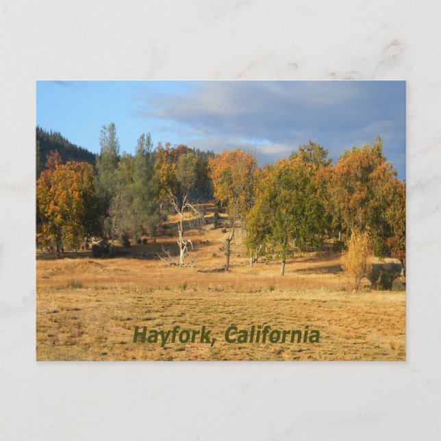 Beautiful country... postcard (Front)