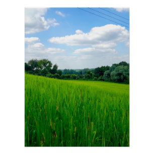 Beautiful countryside poster