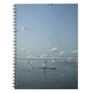 Beautiful Cranes Flying Over Water Nature's Ballet Notebook