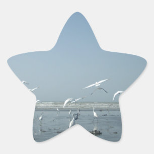 Beautiful Cranes Flying Over Water Nature's Ballet Star Sticker