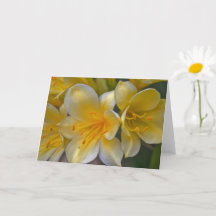 Beautiful Cream Yellow Gold Lily Flowers Art Card