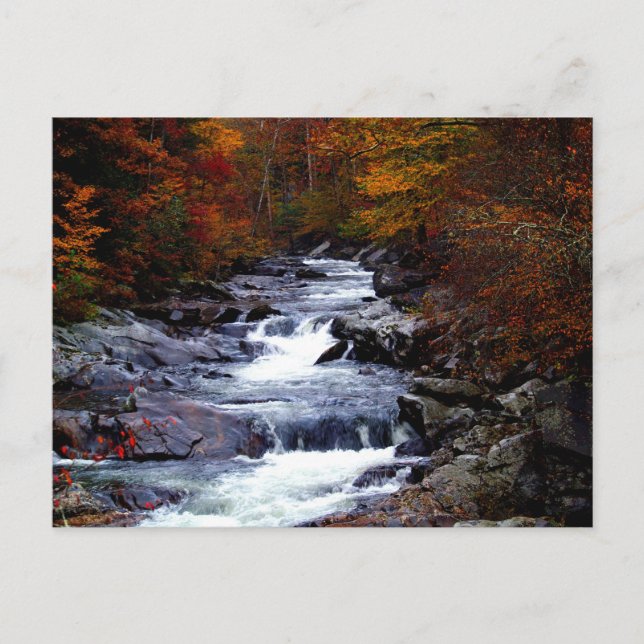 Beautiful creek nature scenery postcard (Front)