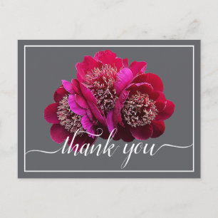 Beautiful Crimson Peonies Colour Backdrop Thank Yo Postcard