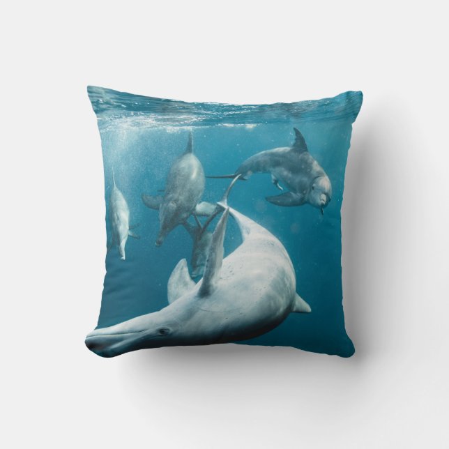 Beautiful Cute Dolphins Cushion (Front)