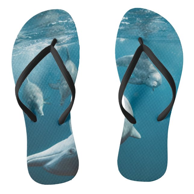 Beautiful Cute Dolphins Thongs (Footbed)