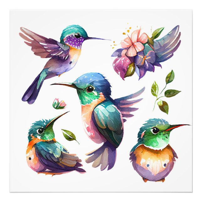 Beautiful & Cute Hummingbirds for Bird Lovers on   Photo Print (Front)