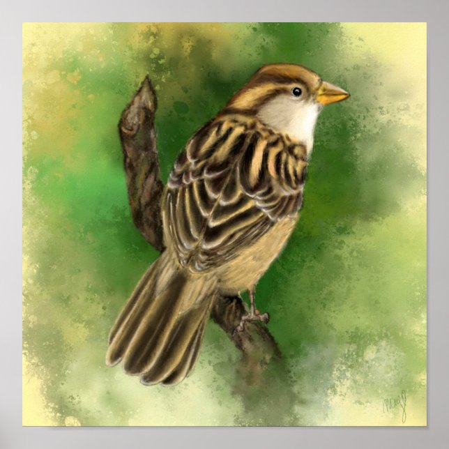 Beautiful Cute Little Sparrow Migned Painting Art  Poster (Front)