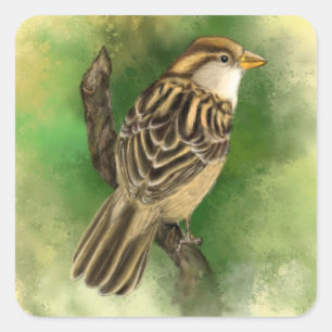 Beautiful Cute Little Sparrow Migned Painting Art Square Sticker