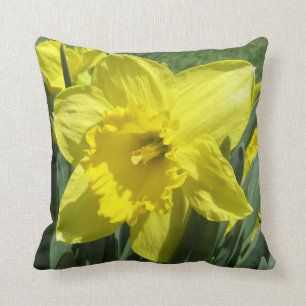 Beautiful daffodil cushion