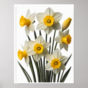 Beautiful Daffodil Flowers Poster Wall Decor
