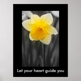 Beautiful daffodil, Value Poster Paper (Matte)