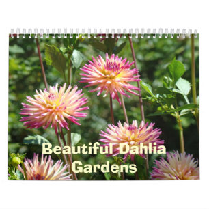Beautiful Dahlia Gardens Calendars Floral Photos