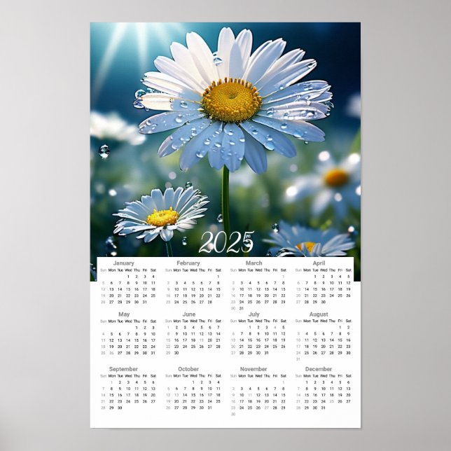 Beautiful Daisies with Dew Drops 2025 Calendar  Poster (Front)
