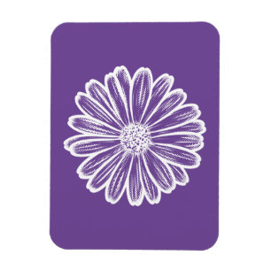 Beautiful Daisy Flower, Halftone Illustration Magnet